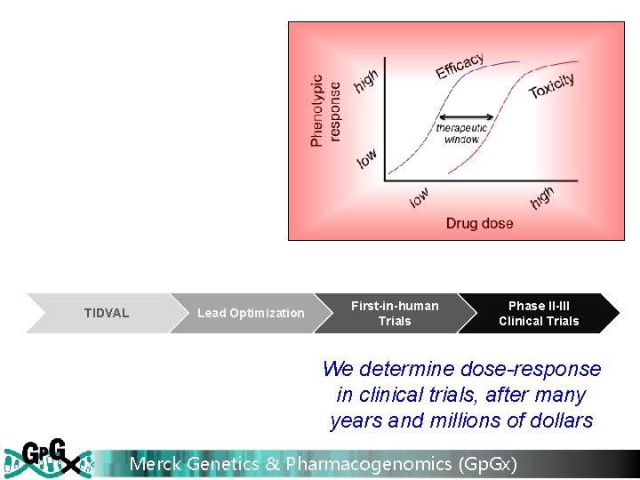 TIDVAL Lead Optimization First-in-human Trials Phase II-III Clinical Trials We determine dose-response in clinical