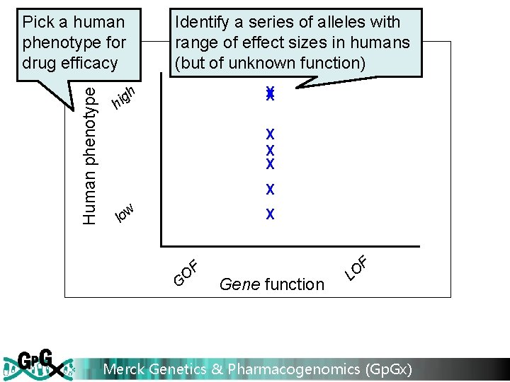 Human phenotype Pick a human phenotype for drug efficacy Identify a series of alleles