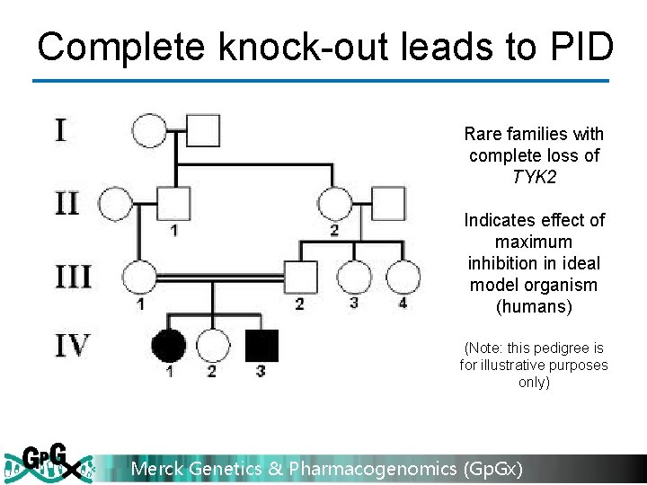 Complete knock-out leads to PID Rare families with complete loss of TYK 2 Indicates