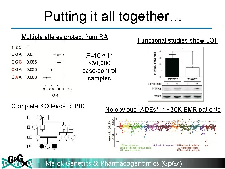 Putting it all together… Multiple alleles protect from RA Functional studies show LOF P=10