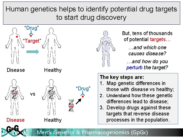 Human genetics helps to identify potential drug targets to start drug discovery “Drug” “Target”