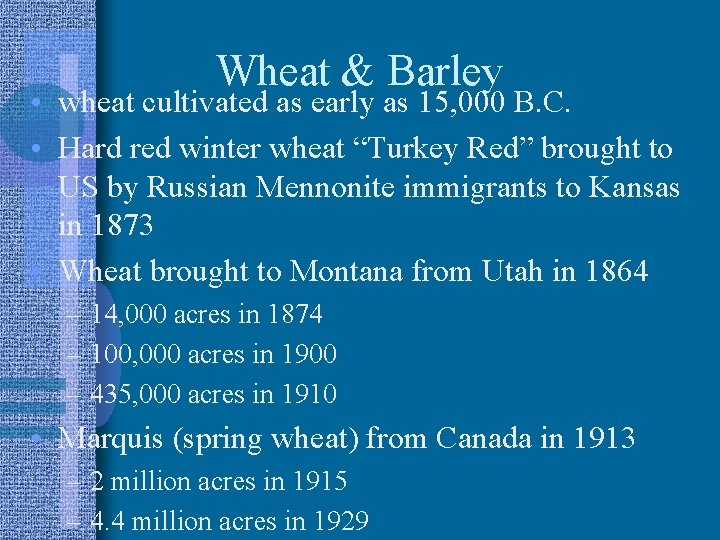 Wheat & Barley • wheat cultivated as early as 15, 000 B. C. •