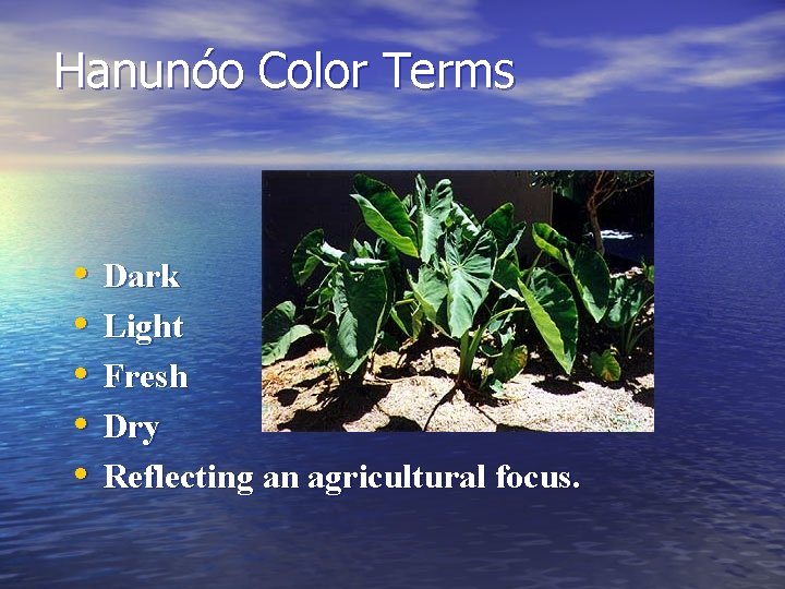 Hanunóo Color Terms • • • Dark Light Fresh Dry Reflecting an agricultural focus.