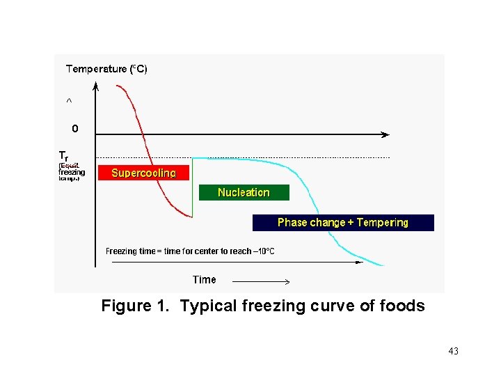 Figure 1. Typical freezing curve of foods 43 