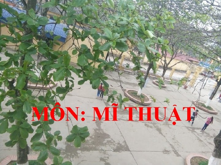 MÔN: MĨ THUẬT 