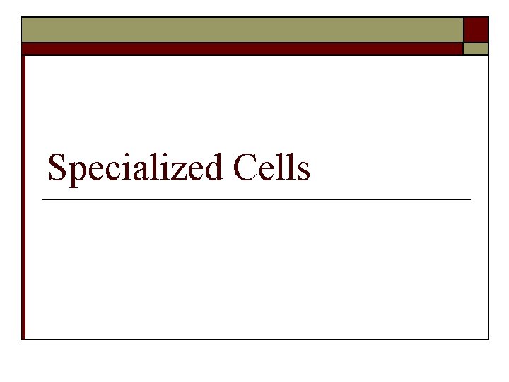 Specialized Cells 