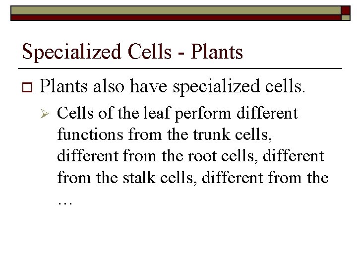 Specialized Cells - Plants o Plants also have specialized cells. Ø Cells of the