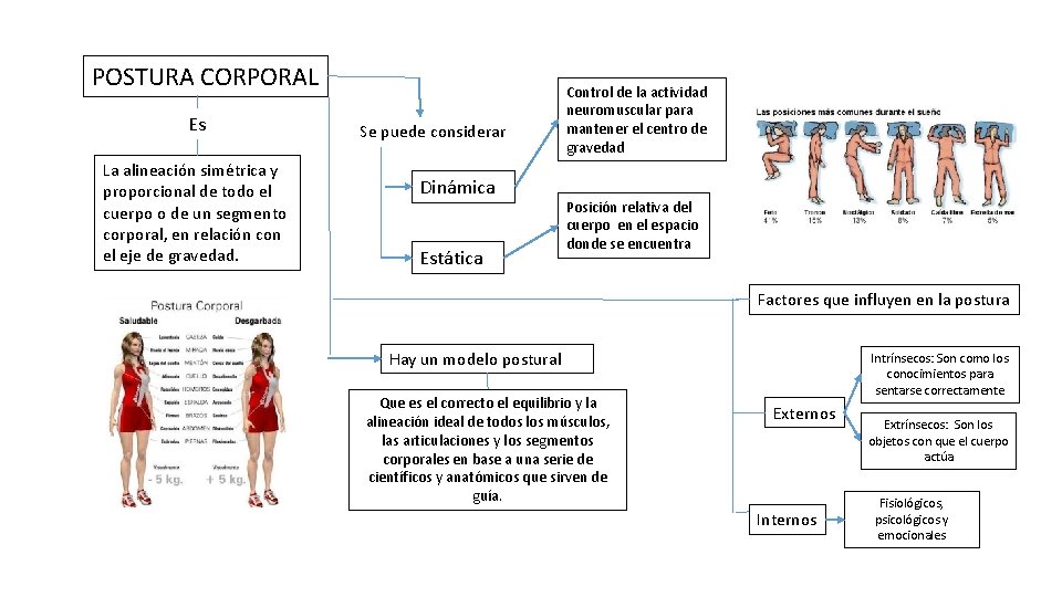 POSTURA CORPORAL Es La alineación simétrica y proporcional de todo el cuerpo o de