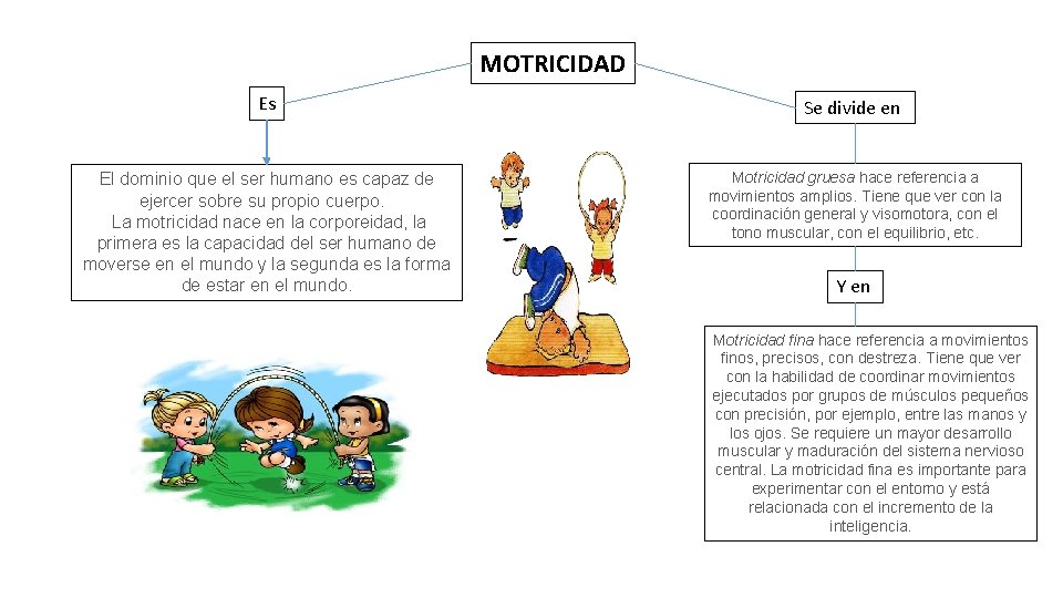 MOTRICIDAD Es Se divide en El dominio que el ser humano es capaz de