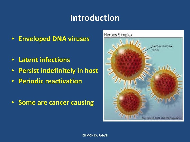 Introduction • Enveloped DNA viruses • Latent infections • Persist indefinitely in host •