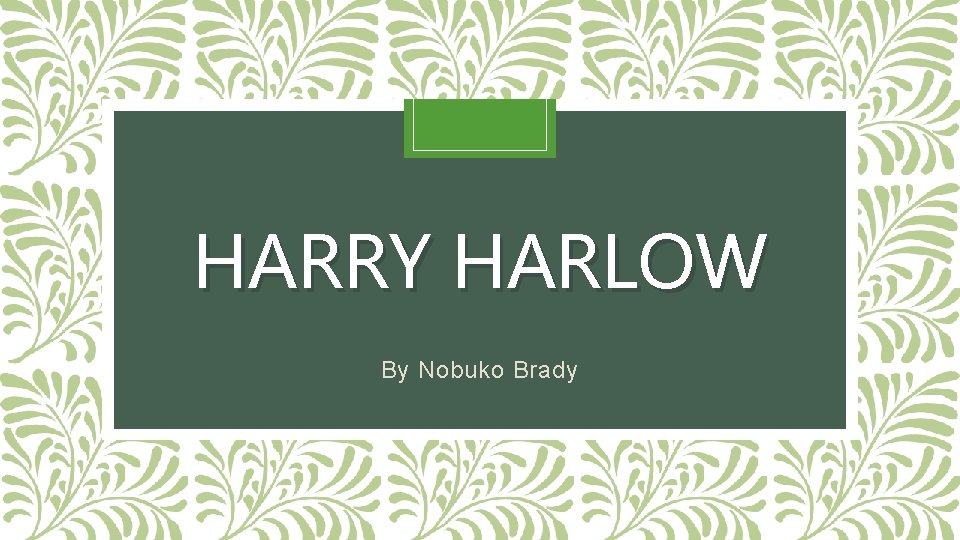 HARRY HARLOW By Nobuko Brady 