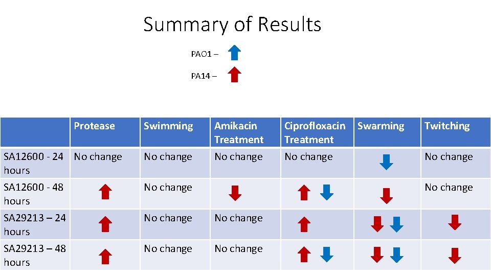 Summary of Results PAO 1 – PA 14 – Protease Swimming Amikacin Treatment Ciprofloxacin