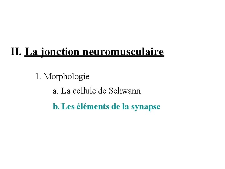 II. La jonction neuromusculaire 1. Morphologie a. La cellule de Schwann b. Les éléments