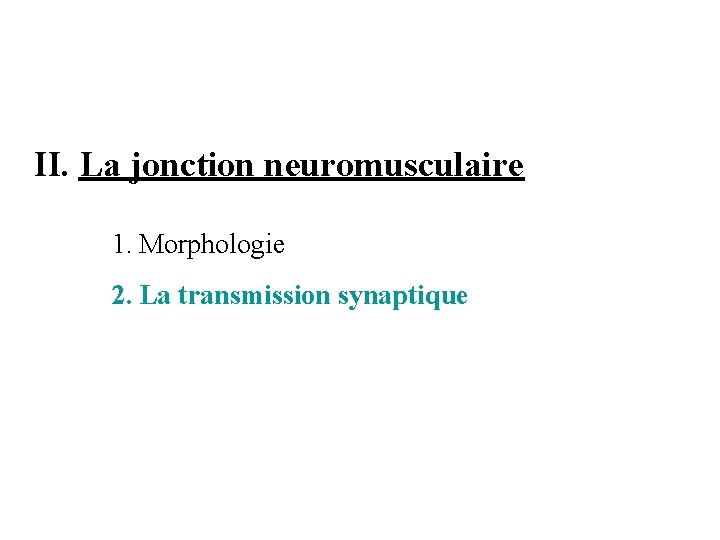 II. La jonction neuromusculaire 1. Morphologie 2. La transmission synaptique 