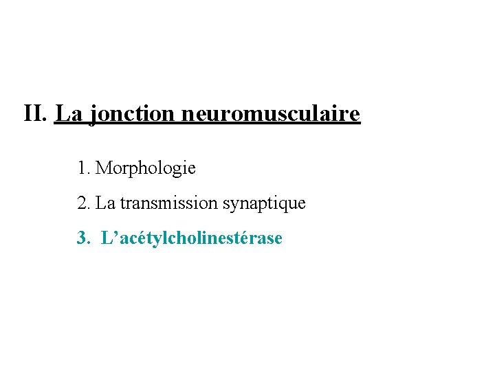II. La jonction neuromusculaire 1. Morphologie 2. La transmission synaptique 3. L’acétylcholinestérase 