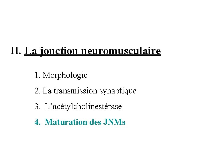 II. La jonction neuromusculaire 1. Morphologie 2. La transmission synaptique 3. L’acétylcholinestérase 4. Maturation
