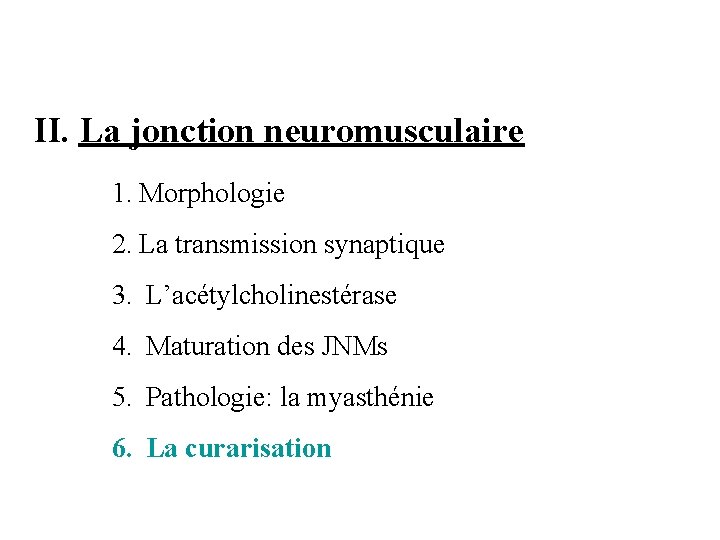 II. La jonction neuromusculaire 1. Morphologie 2. La transmission synaptique 3. L’acétylcholinestérase 4. Maturation