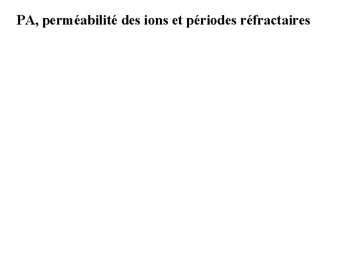 PA, perméabilité des ions et périodes réfractaires 