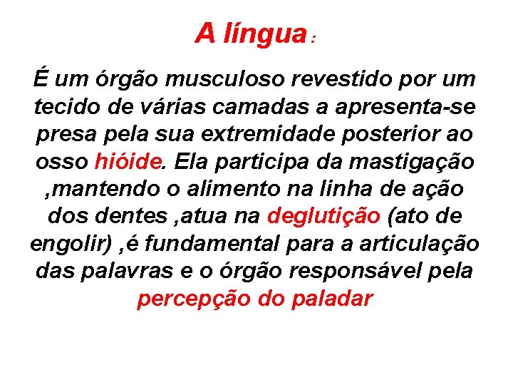 A língua : É um órgão musculoso revestido por um tecido de várias camadas