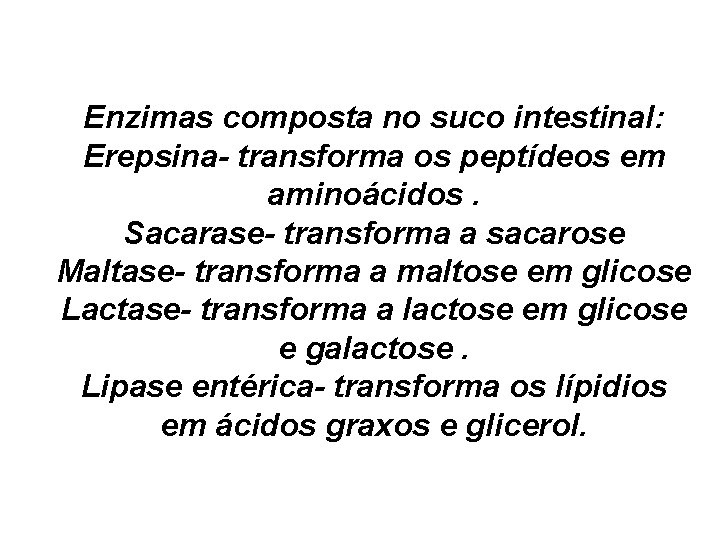 Enzimas composta no suco intestinal: Erepsina- transforma os peptídeos em aminoácidos. Sacarase- transforma a