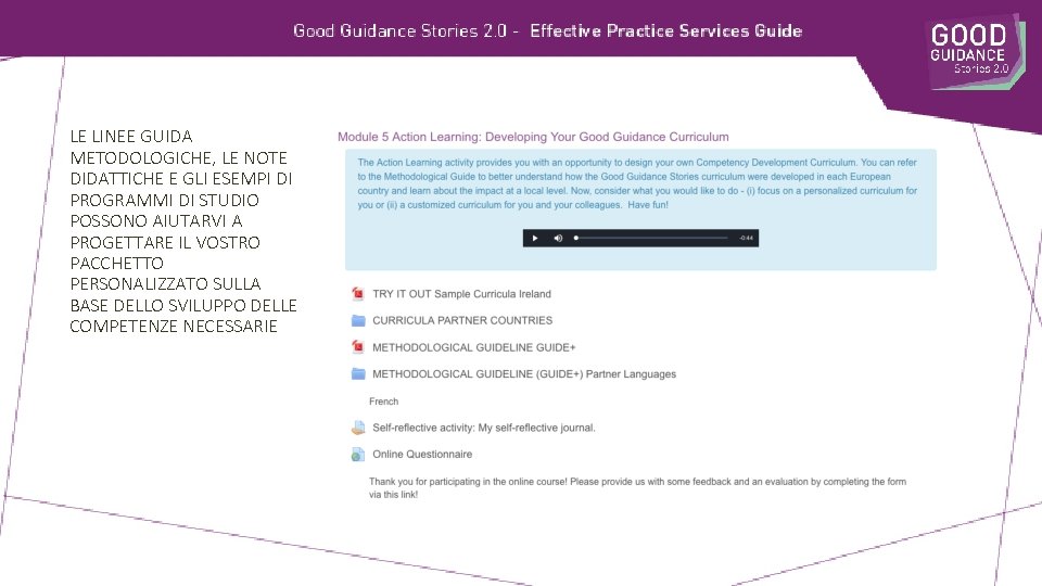 LE LINEE GUIDA METODOLOGICHE, LE NOTE DIDATTICHE E GLI ESEMPI DI PROGRAMMI DI STUDIO