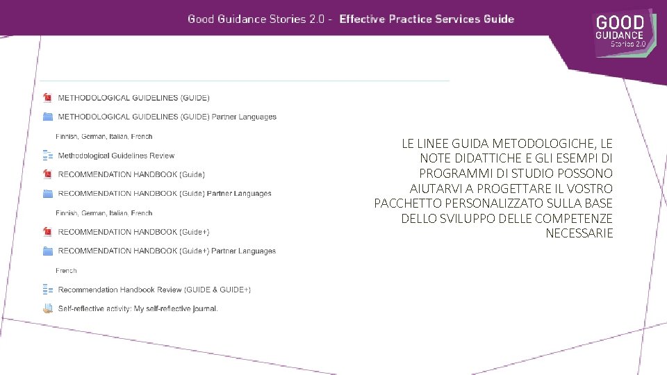 LE LINEE GUIDA METODOLOGICHE, LE NOTE DIDATTICHE E GLI ESEMPI DI PROGRAMMI DI STUDIO