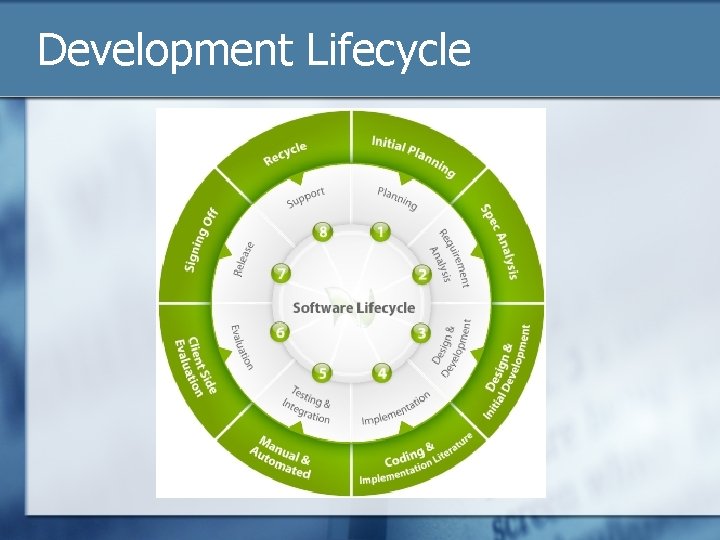 Development Lifecycle 