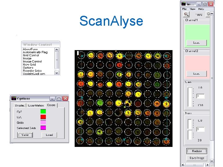 Scan. Alyse Scan. Alyse