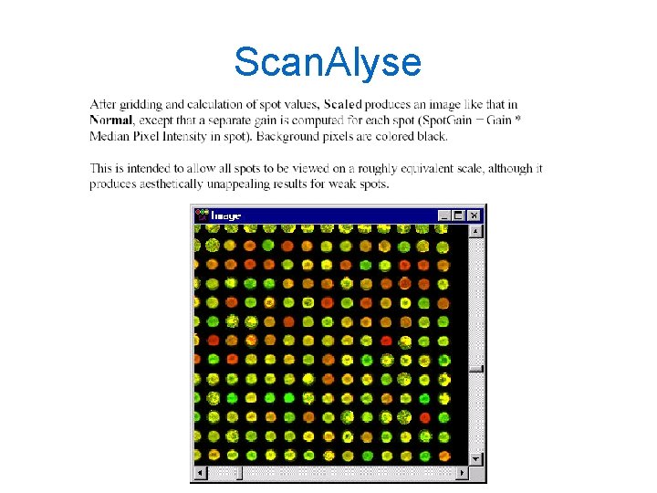 Scan. Alyse Scan. Alyse