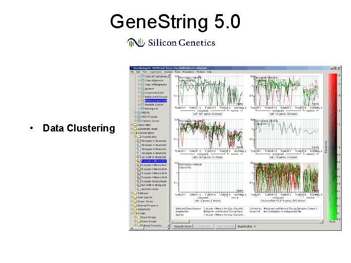 Gene. String 5. 0 • Data Clustering Gene. String 5. 0 • Data Clustering
