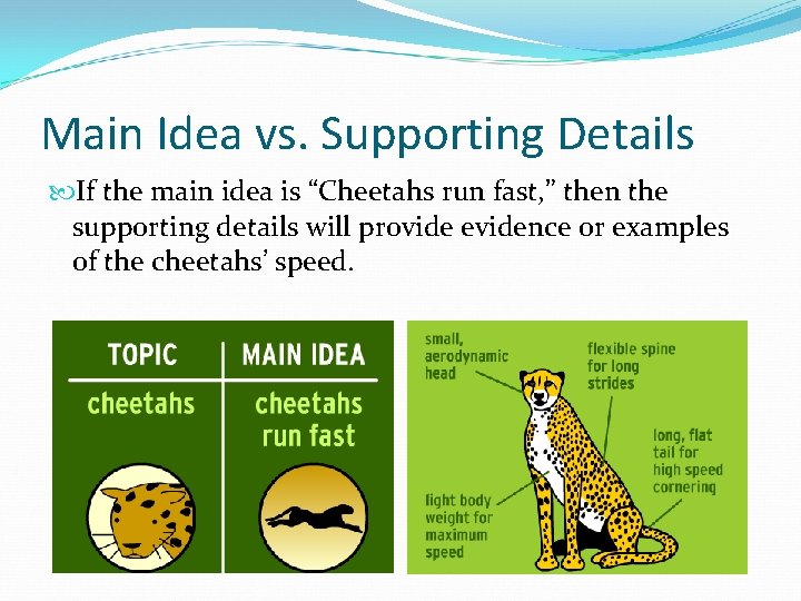 Main Idea vs. Supporting Details If the main idea is “Cheetahs run fast, ”