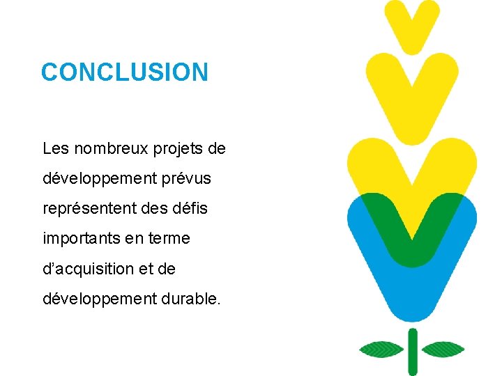 CONCLUSION Les nombreux projets de développement prévus représentent des défis importants en terme d’acquisition