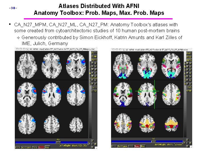 -38 - Atlases Distributed With AFNI Anatomy Toolbox: Prob. Maps, Max. Prob. Maps • -38 - Atlases Distributed With AFNI Anatomy Toolbox: Prob. Maps, Max. Prob. Maps •