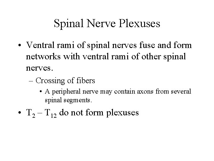 Spinal Nerve Plexuses • Ventral rami of spinal nerves fuse and form networks with