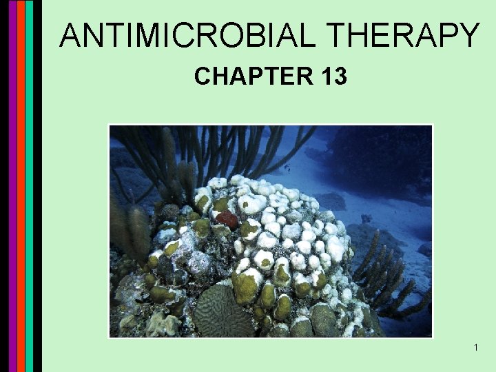 ANTIMICROBIAL THERAPY CHAPTER 13 1 