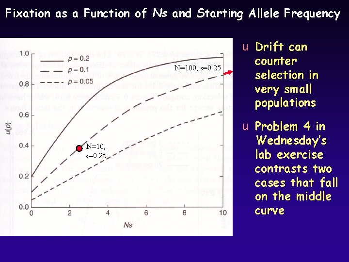 Fixation as a Function of Ns and Starting Allele Frequency N=100, s=0. 25 N=10,