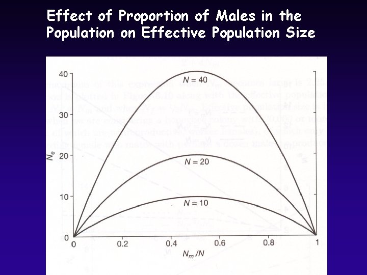 Effect of Proportion of Males in the Population on Effective Population Size 