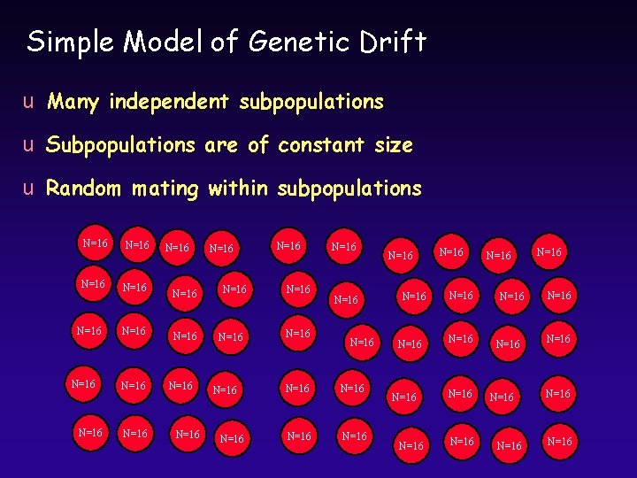 Simple Model of Genetic Drift u Many independent subpopulations u Subpopulations are of constant