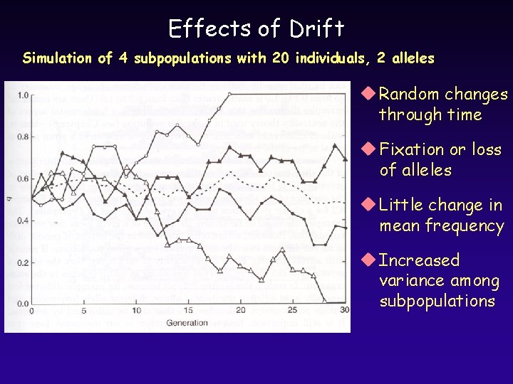 Effects of Drift Simulation of 4 subpopulations with 20 individuals, 2 alleles u Random