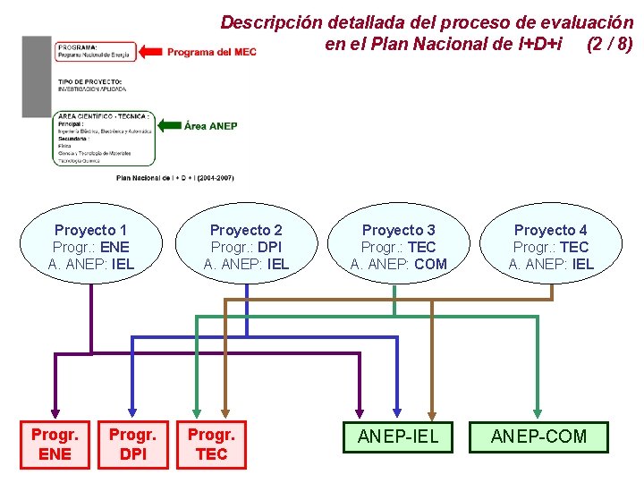 Descripción detallada del proceso de evaluación en el Plan Nacional de I+D+i (2 /