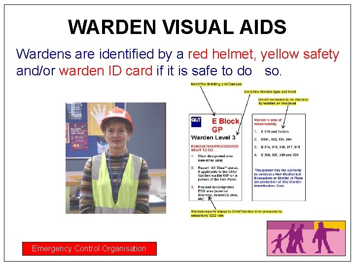 WARDEN VISUAL AIDS Wardens are identified by a red helmet, yellow safety and/or warden