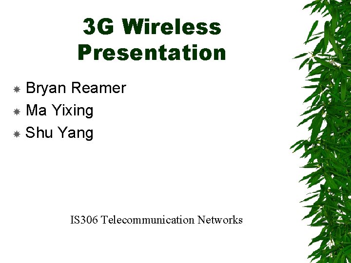 3 G Wireless Presentation Bryan Reamer Ma Yixing Shu Yang IS 306 Telecommunication Networks