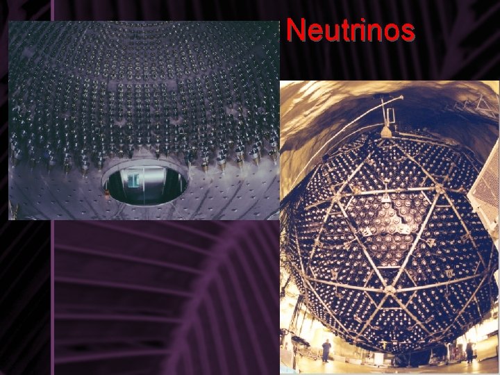 Neutrinos 