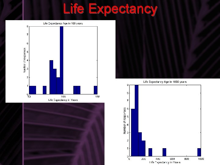 Life Expectancy 