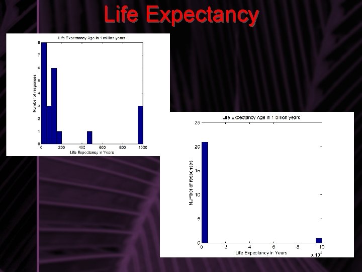 Life Expectancy 