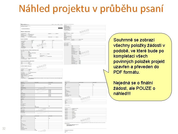 Náhled projektu v průběhu psaní Souhrnně se zobrazí všechny položky žádosti v podobě, ve