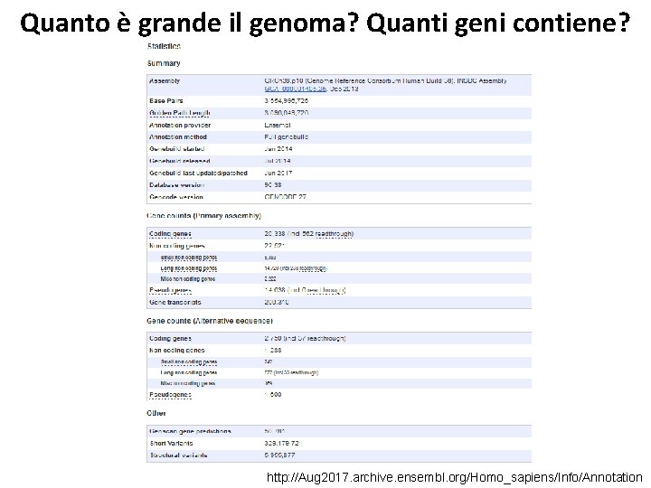 Quanto è grande il genoma? Quanti geni contiene? http: //Aug 2017. archive. ensembl. org/Homo_sapiens/Info/Annotation