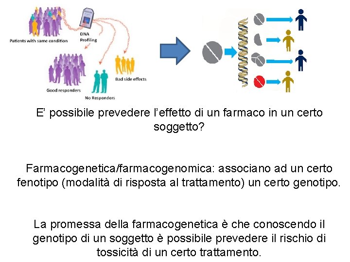 E’ possibile prevedere l’effetto di un farmaco in un certo soggetto? Farmacogenetica/farmacogenomica: associano ad