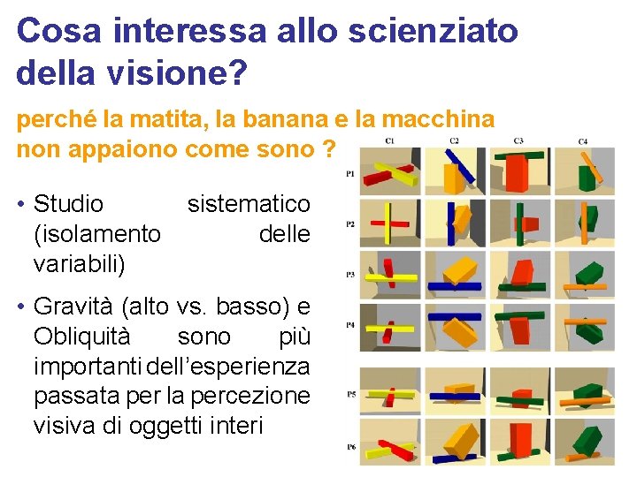 Cosa interessa allo scienziato della visione? perché la matita, la banana e la macchina