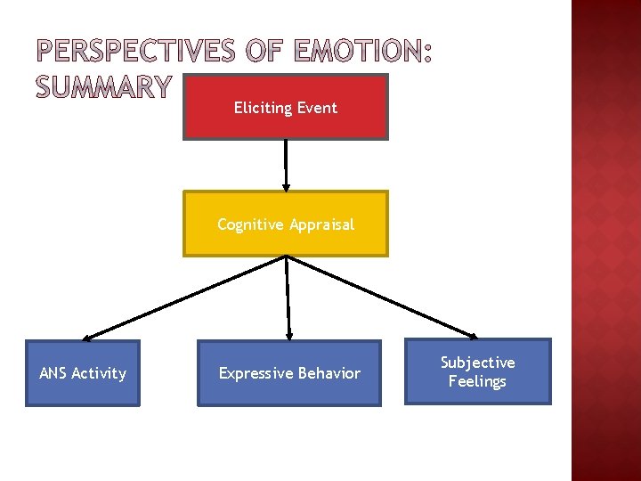 Eliciting Event Cognitive Appraisal ANS Activity Expressive Behavior Subjective Feelings Eliciting Event Cognitive Appraisal ANS Activity Expressive Behavior Subjective Feelings